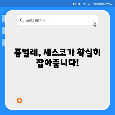 안성시 대덕면 세스코 가격 & 후기| 가정집, 원룸, 좀벌레 해결 솔루션 | 2024 비용, 신청, 가입, 진단