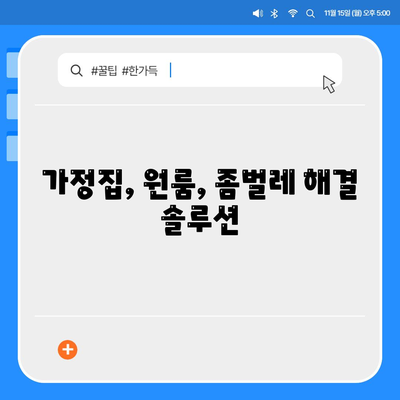 대전 동구 자양동 세스코 가격 & 후기| 가정집, 원룸, 좀벌레 해결 솔루션 | 비용, 신청, 가입, 진단 2024