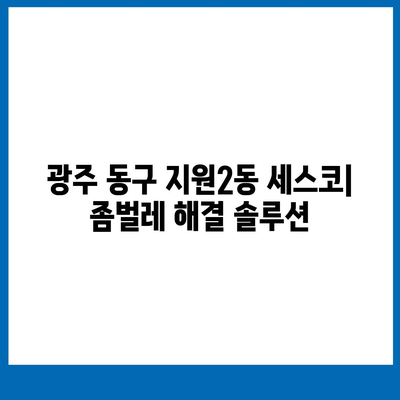 광주 동구 지원2동 세스코 가격 & 후기| 가정집, 원룸 좀벌레 해결 솔루션 | 비용, 신청, 가입, 진단 2024