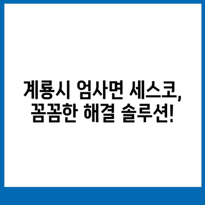 충청남도 계룡시 엄사면 세스코 가격 & 후기| 가정집, 원룸, 좀벌레 해결 솔루션 | 비용, 신청, 가입, 진단 2024