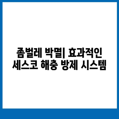 대전 유성구 구성동 세스코 가격 & 후기| 가정집, 원룸, 좀벌레 해결 솔루션 | 비용, 신청, 가입, 진단 2024