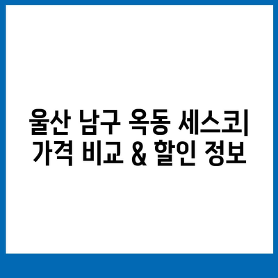 울산 남구 옥동 세스코 가격 & 후기| 가정집, 원룸, 좀벌래까지! | 비용, 신청, 가입, 진단 2024