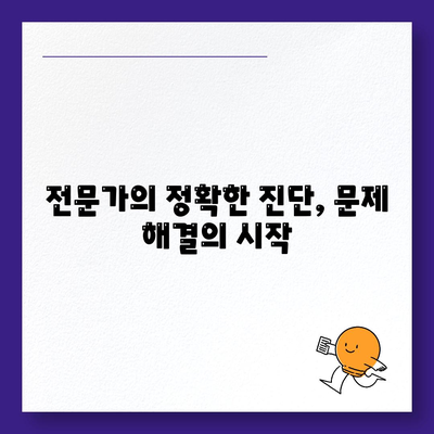 통영 도산면 세스코 가격 & 후기| 가정집, 원룸, 좀벌레 해결 솔루션 | 비용, 신청, 가입, 진단