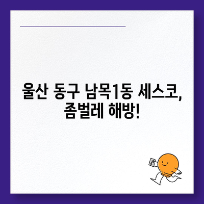 울산 동구 남목1동 세스코 이용 가이드| 가격, 비용, 후기, 신청까지! | 좀벌레, 가정집, 원룸, 2024