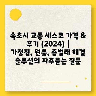 속초시 교동 세스코 가격 & 후기 (2024) | 가정집, 원룸, 좀벌래 해결 솔루션