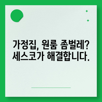 광주 동구 학동 세스코 가격 & 후기| 가정집, 원룸, 좀벌레 해결 솔루션 | 비용, 신청, 가입, 진단 2024