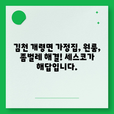 김천 개령면 세스코 가격 & 후기| 가정집, 원룸, 좀벌래 해결 솔루션 | 2024 비용, 신청, 가입, 진단