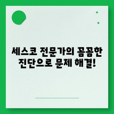 경상남도 고성군 영현면 세스코 가격 & 후기| 가정집, 원룸, 좀벌래 해결 솔루션 | 비용, 신청, 가입, 진단, 2024