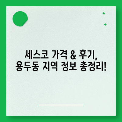 대전 중구 용두동 세스코 가격 & 후기| 가정집, 원룸, 좀벌레 해결 솔루션 | 비용, 신청, 가입, 진단 2024