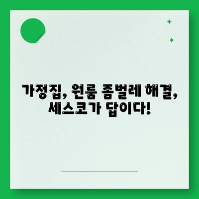 제주도 제주시 삼양동 세스코 가격 & 후기| 가정집, 원룸, 좀벌래 해결 솔루션 | 2024 최신 정보