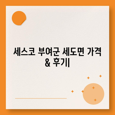 충청남도 부여군 세도면 세스코 가격 & 후기| 가정집, 원룸, 좀벌래 해결 솔루션 | 비용, 신청, 가입, 진단 2024