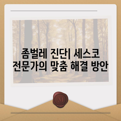 광주 서구 금호2동 세스코 가격 & 후기| 좀벌레 해결, 가정집/원룸 맞춤 솔루션 | 비용, 신청, 가입, 진단 2024