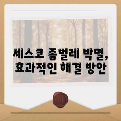 청주시 상당구 남문로2동 세스코 가격 & 후기| 좀벌레, 가정집, 원룸, 신청, 가입, 진단 | 2024 최신 정보