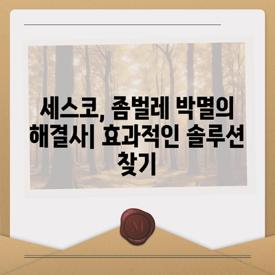 전라북도 김제시 공덕면 세스코 가격 & 후기| 가정집, 원룸, 좀벌래 해결 솔루션 | 2024 최신 정보