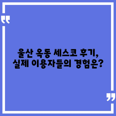 울산 남구 옥동 세스코 가격 & 후기| 가정집, 원룸, 좀벌레 해결 솔루션 | 비용, 신청, 가입, 진단