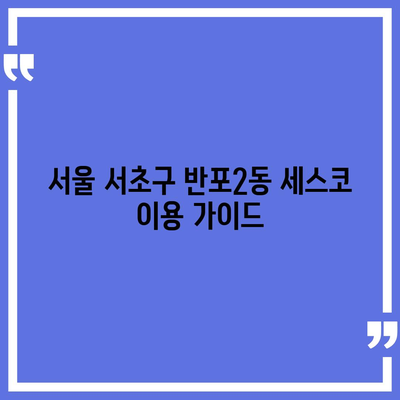 서울 서초구 반포2동 세스코 가격 & 후기| 가정집, 원룸, 좀벌래 해결 솔루션 | 비용, 신청, 가입, 진단, 2024