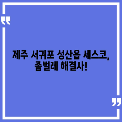 제주도 서귀포시 성산읍 세스코 가격 & 후기| 좀벌레, 가정집, 원룸, 신청, 가입, 2024 | 비용, 진단, 가격 비교