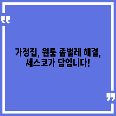 제주도 제주시 노형동 세스코 가격 & 후기| 가정집, 원룸, 좀벌래 해결 솔루션 | 비용, 신청, 가입, 진단 2024