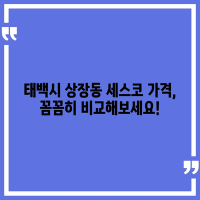 강원도 태백시 상장동 세스코 가격 & 후기| 가정집, 원룸, 좀벌래 해결 솔루션 | 비용, 신청, 가입, 진단