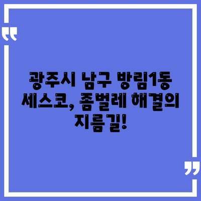 광주시 남구 방림1동 세스코 가격 & 후기| 가정집, 원룸, 좀벌래 해결 솔루션 | 비용, 신청, 가입, 진단, 2024