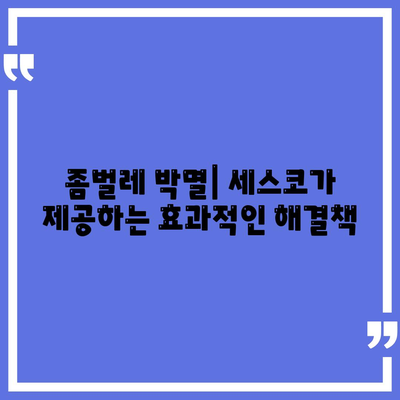 공주시 신풍면 세스코 가격 & 후기| 가정집, 원룸, 좀벌래 해결 솔루션 | 2024 최신 정보