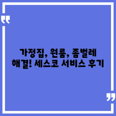 서울 강북구 삼양동 세스코 가격 & 후기| 가정집, 원룸, 좀벌레 해결 솔루션 | 2024 최신 정보