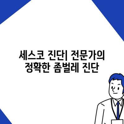 동두천시 불현동 세스코 가격 & 후기| 가정집, 원룸, 좀벌레 해결 솔루션 | 2024 비용, 신청, 가입, 진단