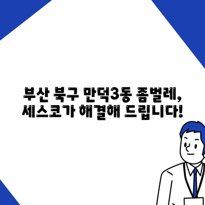 부산 북구 만덕3동 세스코 가격 & 후기| 좀벌레 해결, 가정집/원룸 맞춤 솔루션 | 비용, 신청, 가입, 진단 2024