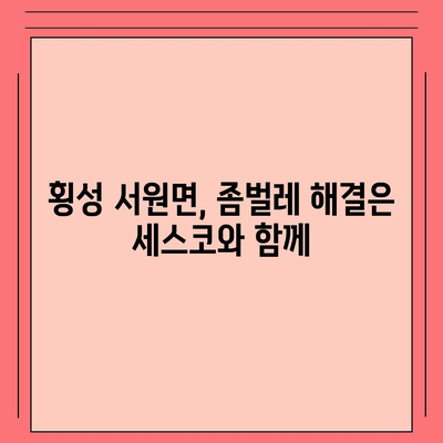 강원도 횡성군 서원면 세스코 이용 가이드| 가격, 후기, 신청, 좀벌레 해결 | 가정집, 원룸, 비용, 2024