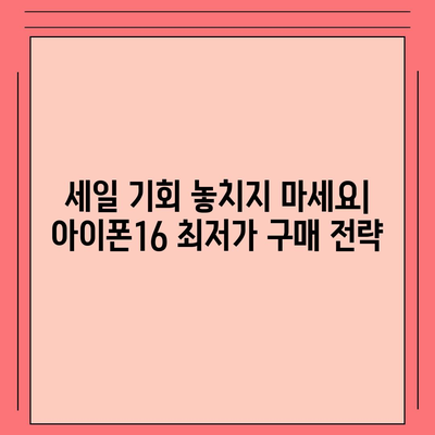 아이폰16 할부 대 세일제 | 어느 쪽이 더 나은가?