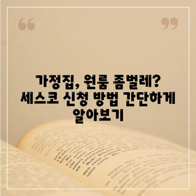 강원도 태백시 문곡소도동 세스코| 가격, 후기, 신청까지 완벽 가이드 | 좀벌레, 가정집, 원룸, 2024