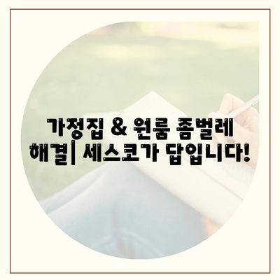 광명시 하안1동 세스코 가격 & 후기| 가정집, 원룸, 좀벌래 해결 솔루션 | 비용, 신청, 가입, 진단 2024