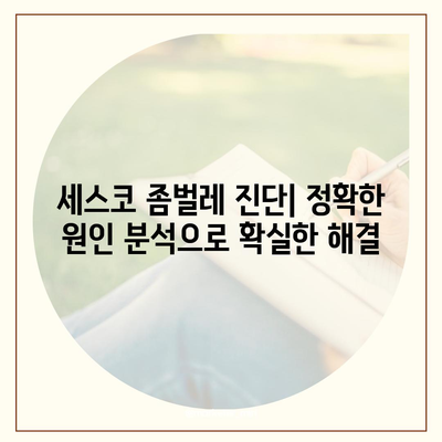 김천 율곡동 세스코 가격 & 후기| 가정집, 원룸, 좀벌레 해결 솔루션 | 비용, 신청, 가입, 진단, 2024