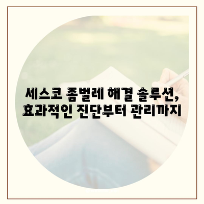 춘천 후평2동 세스코 가격 & 후기| 가정집, 원룸, 좀벌래 해결 솔루션 | 비용, 신청, 가입, 진단 2024