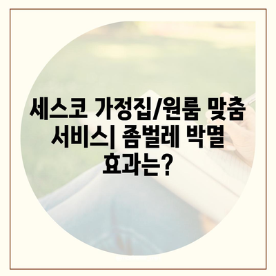 김포 대곶면 세스코 가격 & 후기| 가정집, 원룸, 좀벌래 해결 솔루션 | 2024 최신 정보