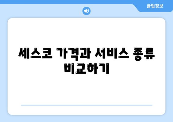 광주시 동구 동명동 세스코 가격 및 가정집 후기 전체 정리 | 비용, 원룸 신청방법, 진단과 좀벌래 해결책 2024