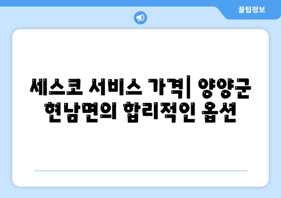 강원도 양양군 현남면 세스코 서비스 가격과 후기 | 비용, 가정집, 원룸 신청 방법, 좀벌래 해결책 | 2024