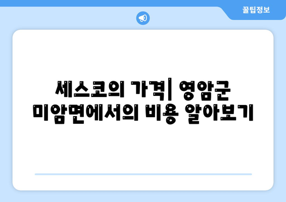 전라남도 영암군 미암면 세스코 가격 및 신청 방법 완벽 가이드 | 비용, 후기, 집, 좀벌래 해결책 2024