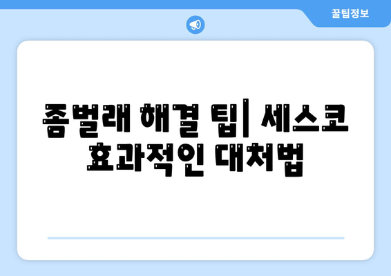 2024 제주도 서귀포시 예래동 세스코 가격 및 가정집 후기 | 비용, 신청방법, 좀벌래 해결 팁"