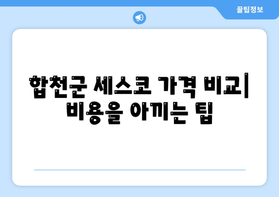 합천군 대양면 세스코 가격 및 서비스 가이드 | 비용, 후기, 신청 방법, 좀벌래 해결 2024