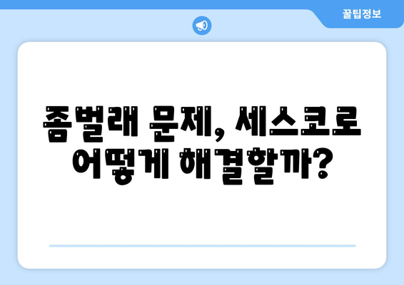 인천시 미추홀구 주안1동 세스코 가정집 가격과 후기 2024 | 비용, 신청 방법, 좀벌래 문제 해결 팁"