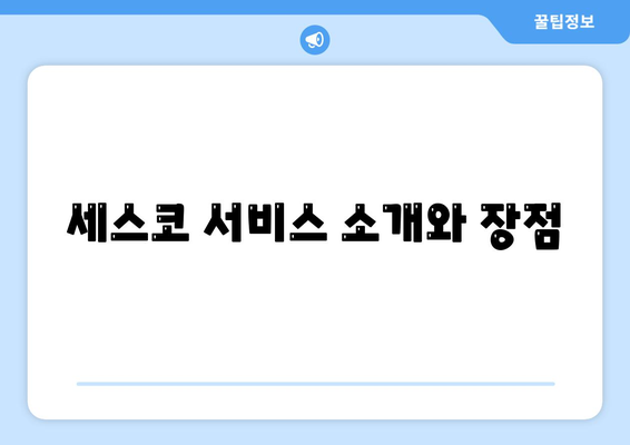 전라북도 진안군 백운면 세스코 비용 및 신청 방법 | 가정집 후기, 원룸 진단, 좀벌래 해결책 2024