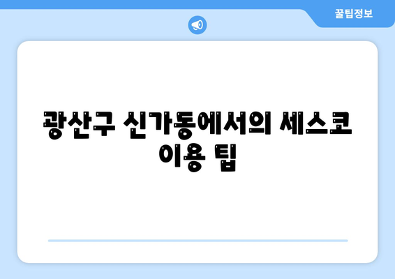 광주시 광산구 신가동 세스코 가격 및 서비스 가이드 | 비용, 가정집 후기, 원룸 신청, 좀벌래 해결책 2024"