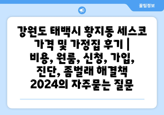 강원도 태백시 황지동 세스코 가격 및 가정집 후기 | 비용, 원룸, 신청, 가입, 진단, 좀벌래 해결책 2024