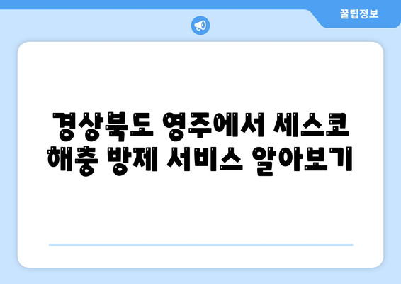 경상북도 영주시 휴천1동 세스코 가격 및 비용 | 가정집 후기, 원룸 신청 방법, 진단과 좀벌래 해결책 2024" | 세스코, 영주, 해충 방제, 가정용 서비스