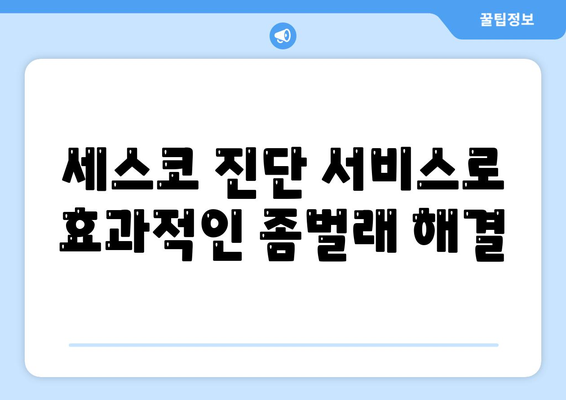 서울시 영등포구 대림제2동 세스코 가격 및 가정집 후기 알아보기 | 비용, 원룸, 신청, 진단, 좀벌래 해결법 2024