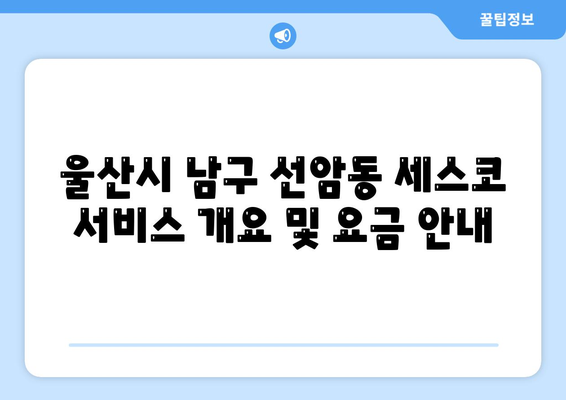 울산시 남구 선암동 세스코 가격 및 비용 탐구 | 가정집 후기, 원룸 신청 방법, 좀벌래 진단 2024