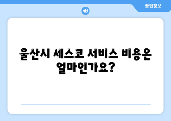 울산시 울주군 삼남면 세스코 가격과 가정집 후기 2024 | 비용, 신청, 진단, 좀벌래 해결법, 원룸 팁