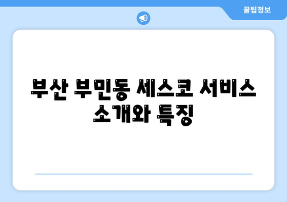 부산시 서구 부민동 세스코 가격과 서비스 | 가정집 후기, 원룸 신청 방법, 비용, 진단 팁 2024