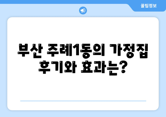 부산시 사상구 주례1동 세스코 가격 및 비용 가이드 | 가정집 후기, 원룸 신청 방법, 좀벌래 해결책 2024